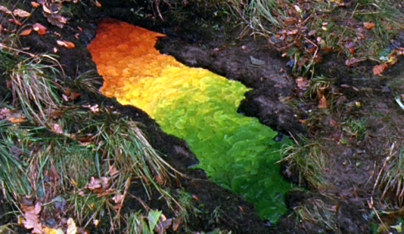 Rainbow Leaves, Andrew Goldsworthy